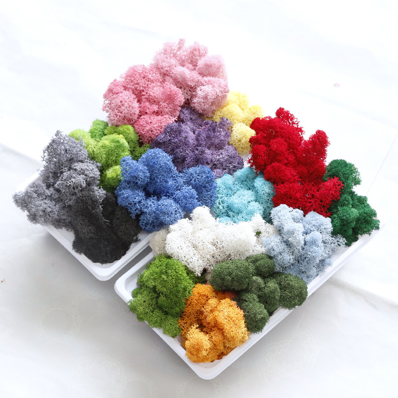 Sienos samanų meno kūrinys - Medžiaga: Amžinosios gėlės samanos, Didelė dėžutė samanų, Pakuotė 500 g, Filiya