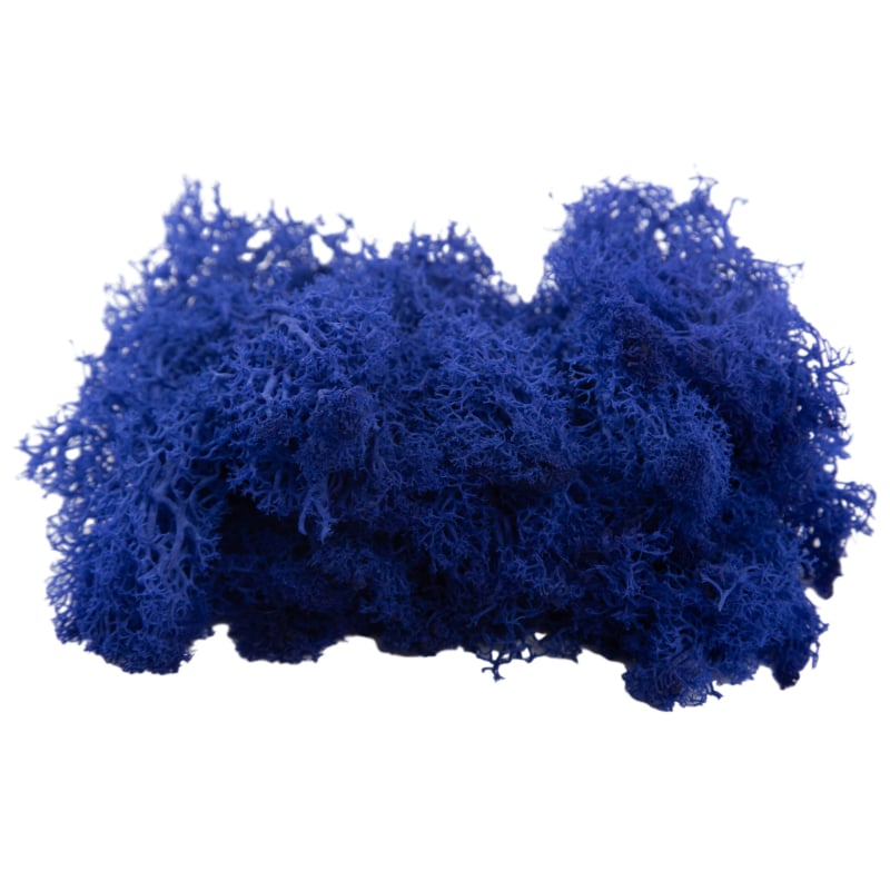 Sienos samanų meno kūrinys - Medžiaga: Amžinosios gėlės samanos, Didelė dėžutė samanų, Pakuotė 500 g, Filiya