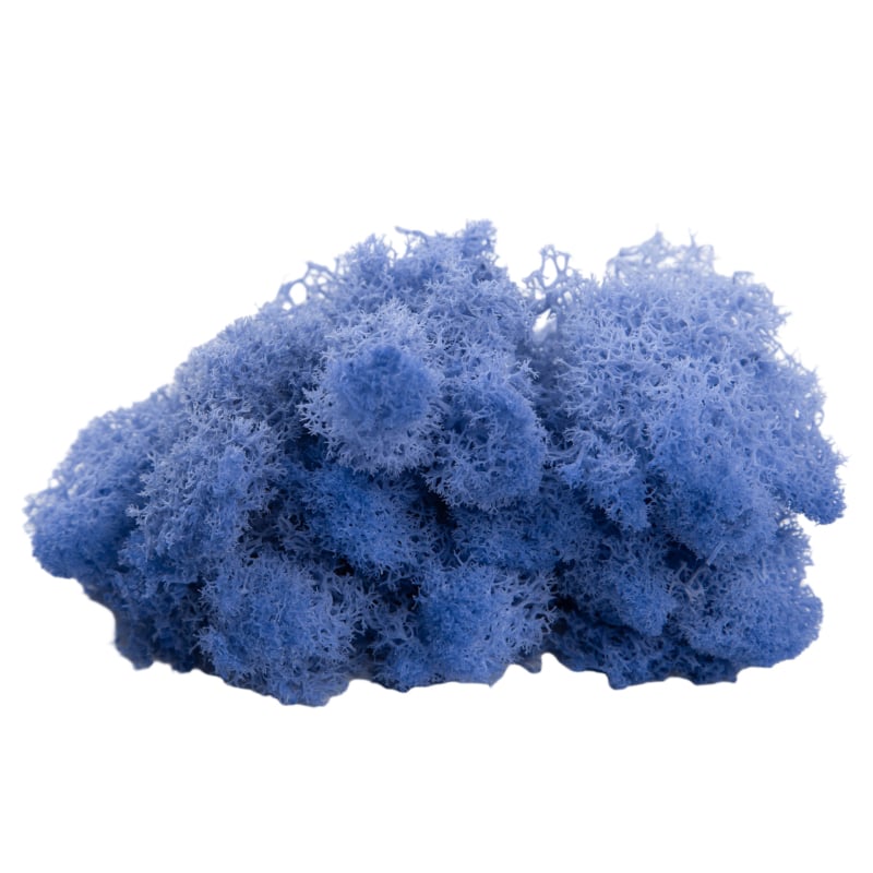 Sienos samanų meno kūrinys - Medžiaga: Amžinosios gėlės samanos, Didelė dėžutė samanų, Pakuotė 500 g, Filiya