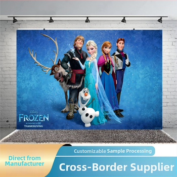 Junhao Produktų fotografavimui fonas, polietileno foto audinys, svoris 0,16 kg, Frozen gimtadienio tema