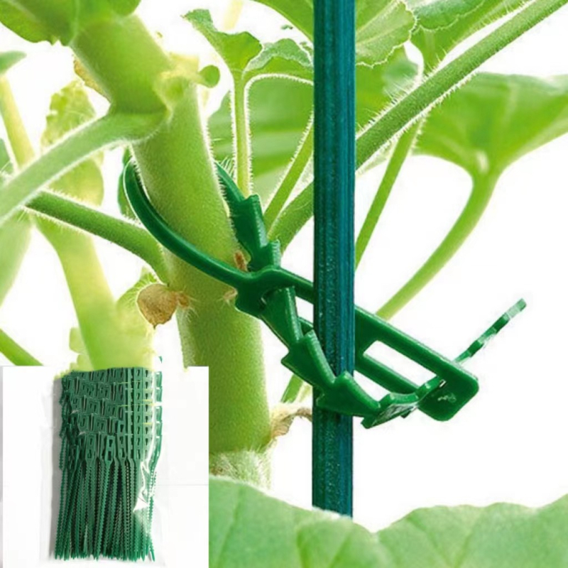 Aia taime sidumisnöör korduvkasutatav kalakujulise luu fiksaatoriga — PP materjal, Rizoda