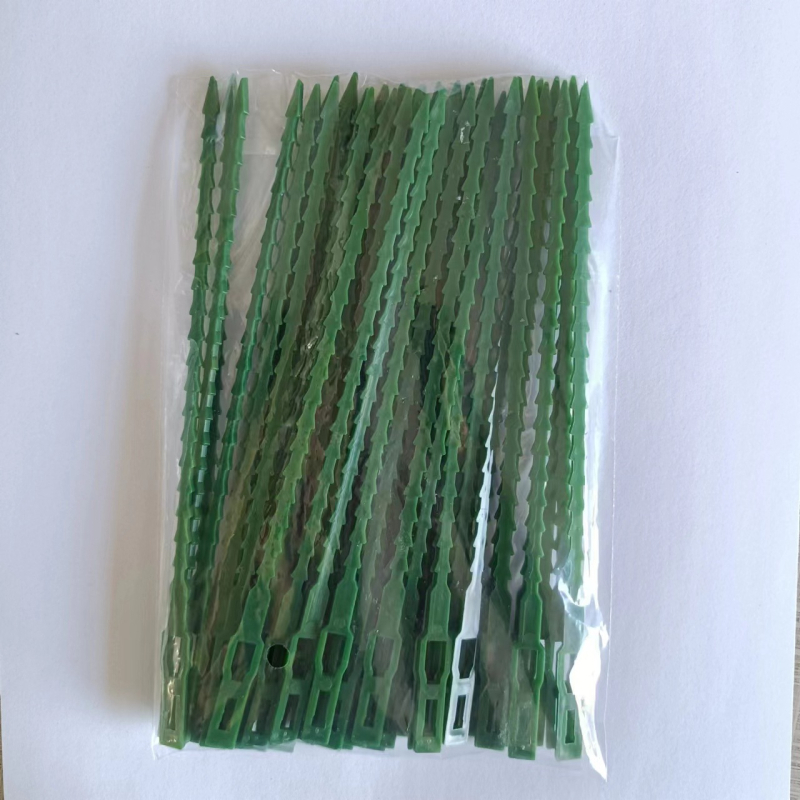 Aia taime sidumisnöör korduvkasutatav kalakujulise luu fiksaatoriga — PP materjal, Rizoda