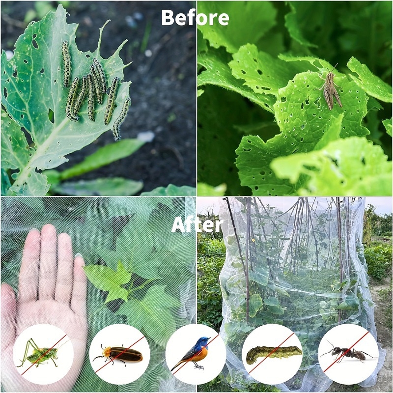 PE kenkėjų atsparus tinklas šiltnamiui – angos dydis 60, vielos skersmuo 60, tarnavimo laikas 3