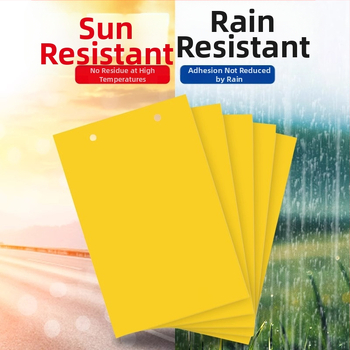 Κολλητική παγίδα εντόμων – δίσκος σε σχήμα λουλουδιού για τον έλεγχο κουνουπιών και μυγών, χαρτί παγίδας για οπωροφόρα δέντρα, αγροτικό κολλητικό χαρτί για μύγες