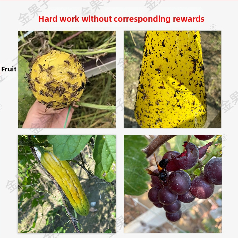 nepluošto vaisių maišelis su kenkėjų apsauga, kvėpuojantis, pusiau skaidrus, biologiškai skaidrus