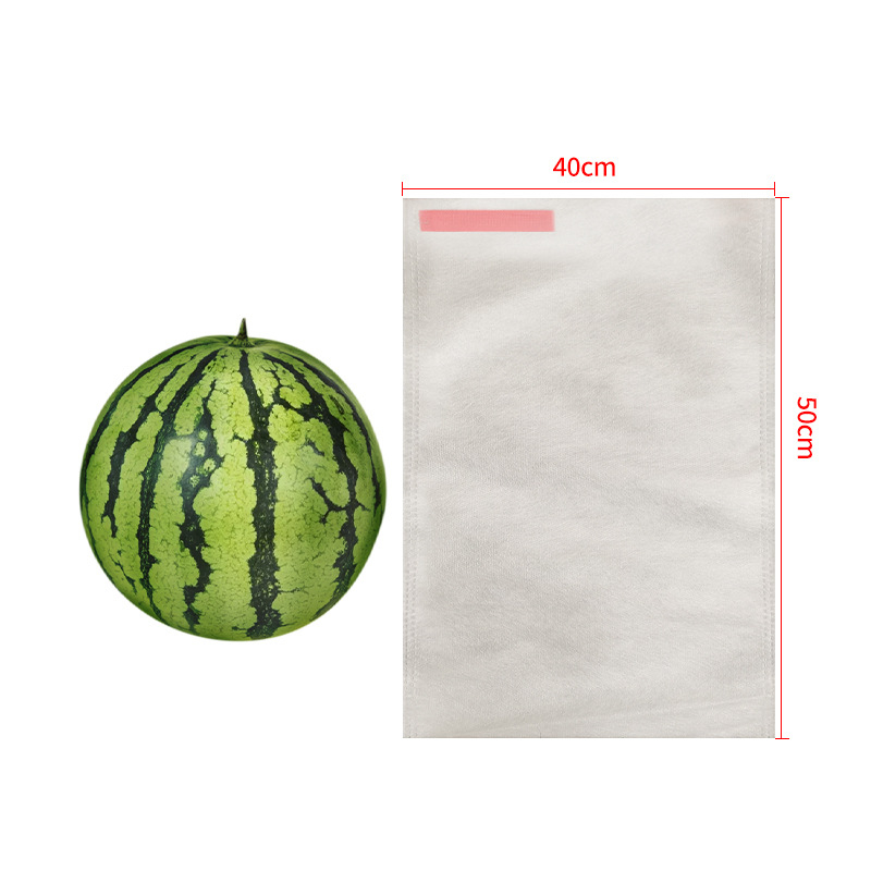 nepluošto vaisių maišelis su kenkėjų apsauga, kvėpuojantis, pusiau skaidrus, biologiškai skaidrus