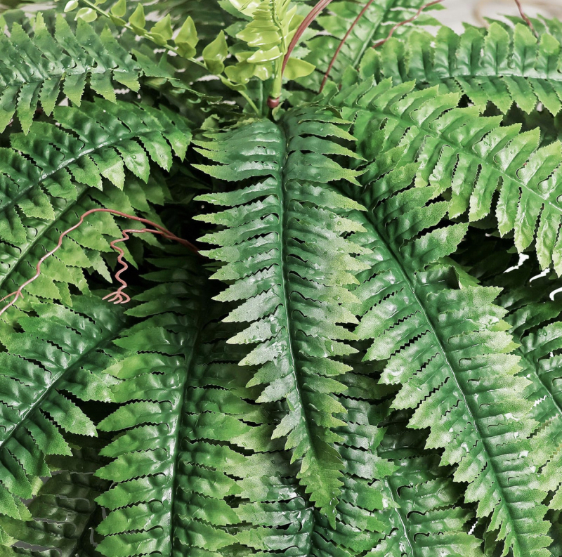 Angus Τεχνητό φυτό Persian Grass με μεταξωτά φύλλα, στυλιζάρισμα και εκτύπωση οθόνης, ποικιλία Persia, κατάλληλο για γάμους, εξωτερικούς χώρους και οικιακή διακόσμηση