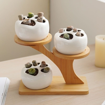 Πολυεπίπελο ράφι φυτών από μπαμπού για επιτραπέζιο — μοντέρνο και μινιμαλιστικό στυλ; πολυλειτουργικό; προσαρμοσμένα δείγματα