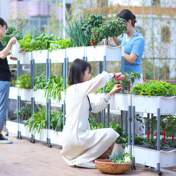 Πλαστική ορθογώνια γλάστρα για φυτά, κατάλληλη για οικιακή κηπουρική, επιδαπέδια χρήση