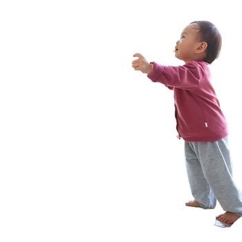 Πλαστική ορθογώνια γλάστρα για φυτά, κατάλληλη για οικιακή κηπουρική, επιδαπέδια χρήση