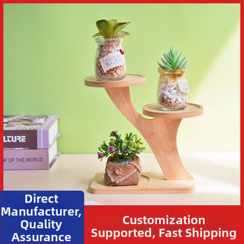 Επιτραπέζιο μπαμπού ράφι φυτών για παχύφυτα — Πολυεπίπεδο ξύλινο ράφι γλαστών, μοντέρνο μινιμαλιστικό στυλ, εύκολη συναρμολόγηση