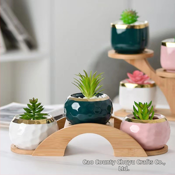 Επιτραπέζιο μπαμπού ράφι φυτών για παχύφυτα — Πολυεπίπεδο ξύλινο ράφι γλαστών, μοντέρνο μινιμαλιστικό στυλ, εύκολη συναρμολόγηση