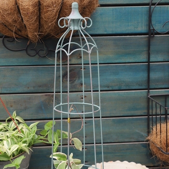 Σφυρήλατη μικρή γλάστρα με πέργκολα αναρρίχησης για τον οικιακό κήπο, βάση στο δάπεδο, απλός σχεδιασμός