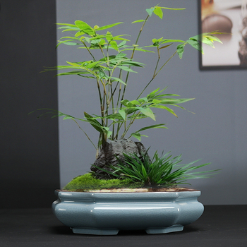 Ge Kiln κεραμική γλάστρα για λουλούδια, υλικό άμμου, ψημένη σε υψηλή θερμοκρασία, διαπερατή, ανθεκτική στη διάβρωση και σταθερή, κατάλληλη για εσωτερικούς χώρους μπονσάι και παχύφυτα