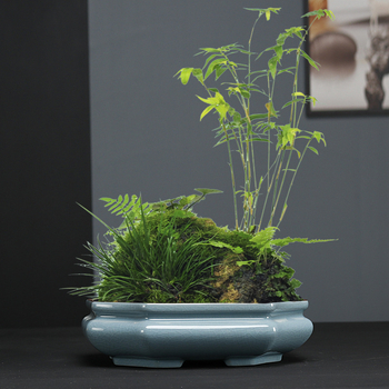 Ge Kiln κεραμική γλάστρα για λουλούδια, υλικό άμμου, ψημένη σε υψηλή θερμοκρασία, διαπερατή, ανθεκτική στη διάβρωση και σταθερή, κατάλληλη για εσωτερικούς χώρους μπονσάι και παχύφυτα