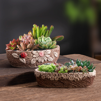 Ghiveci ceramic pentru suculente, respirabil, durabil, pentru birou și casă, stil simplu