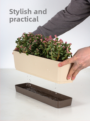 Ghiveci din plastic pentru grădinăritul de casă, stil minimalist, pentru podea