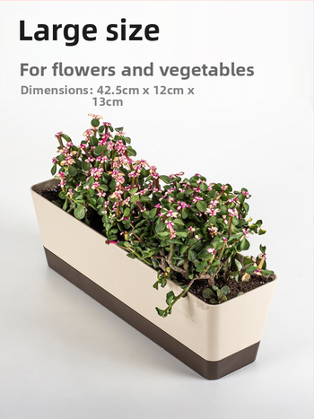 Πλαστική γλάστρα για οικιακή κηπουρική, μινιμαλιστικό στυλ, επιδαπέδια χρήση