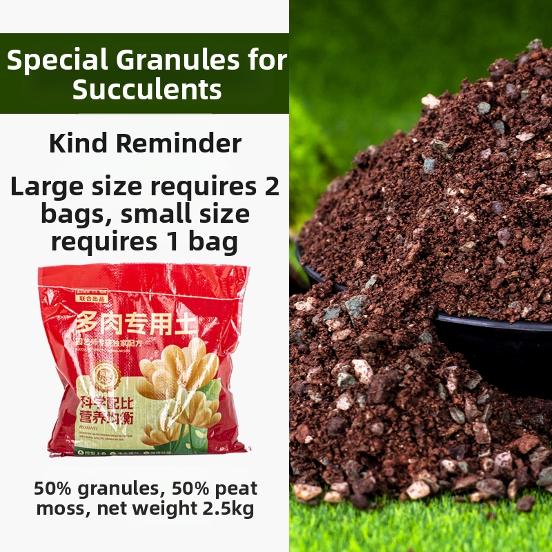 Ghiveci din plastic pentru grădinăritul de casă, stil minimalist, pentru podea