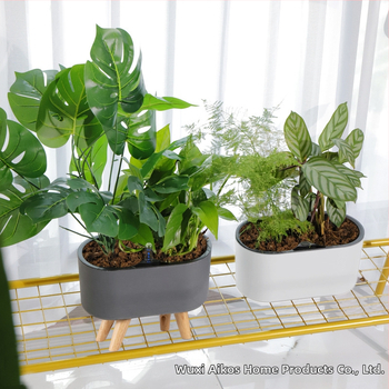 Γλάστρα από πλαστικό, με αυτοποτισμό, εξοικονόμηση νερού, αντοχή στη διάβρωση, διαπνοή; τοίχο ή δάπεδο, σκανδιναβικό στιλ