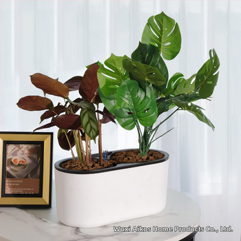 Γλάστρα από πλαστικό, με αυτοποτισμό, εξοικονόμηση νερού, αντοχή στη διάβρωση, διαπνοή; τοίχο ή δάπεδο, σκανδιναβικό στιλ