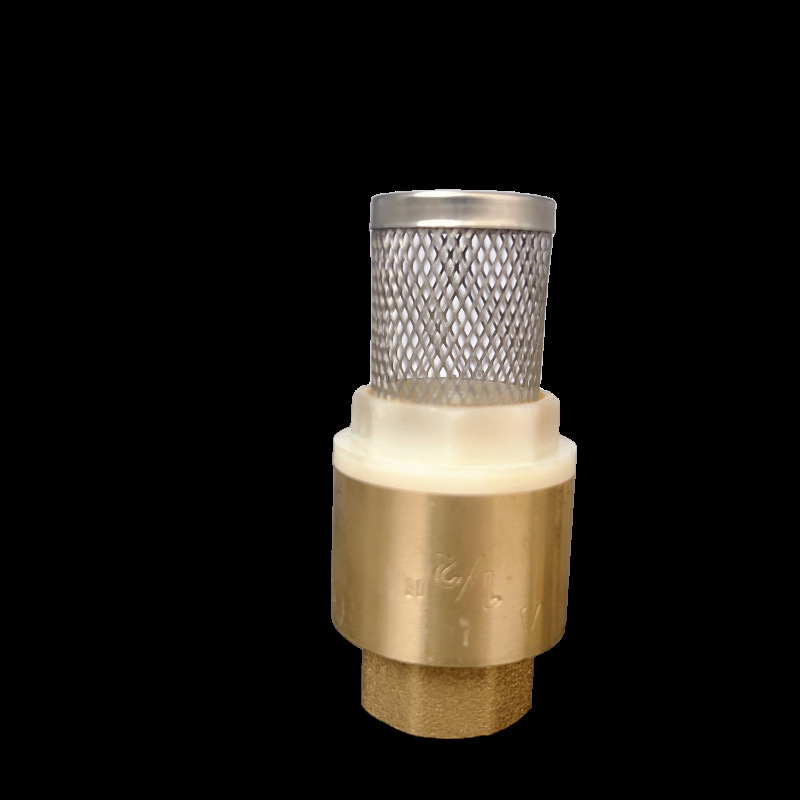 Zvislý zdvíhací spätný ventil s mriežkou z nehrdzavejúcej ocele a meďovým dnom, vhodný pre olej a vodu, hydraulické ovládanie, jednostranný tok