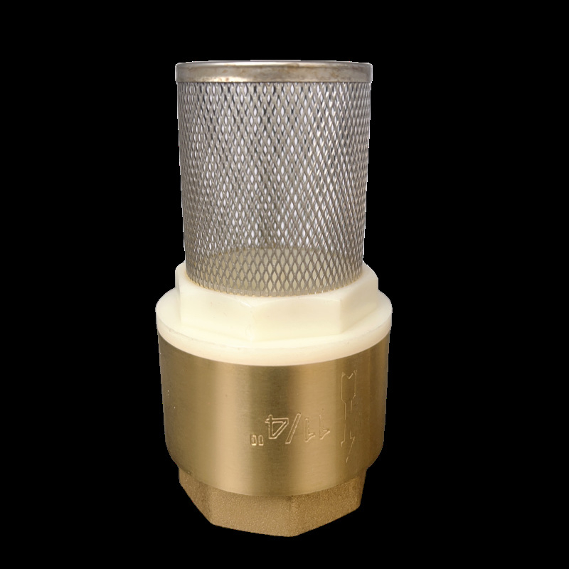 Zvislý zdvíhací spätný ventil s mriežkou z nehrdzavejúcej ocele a meďovým dnom, vhodný pre olej a vodu, hydraulické ovládanie, jednostranný tok