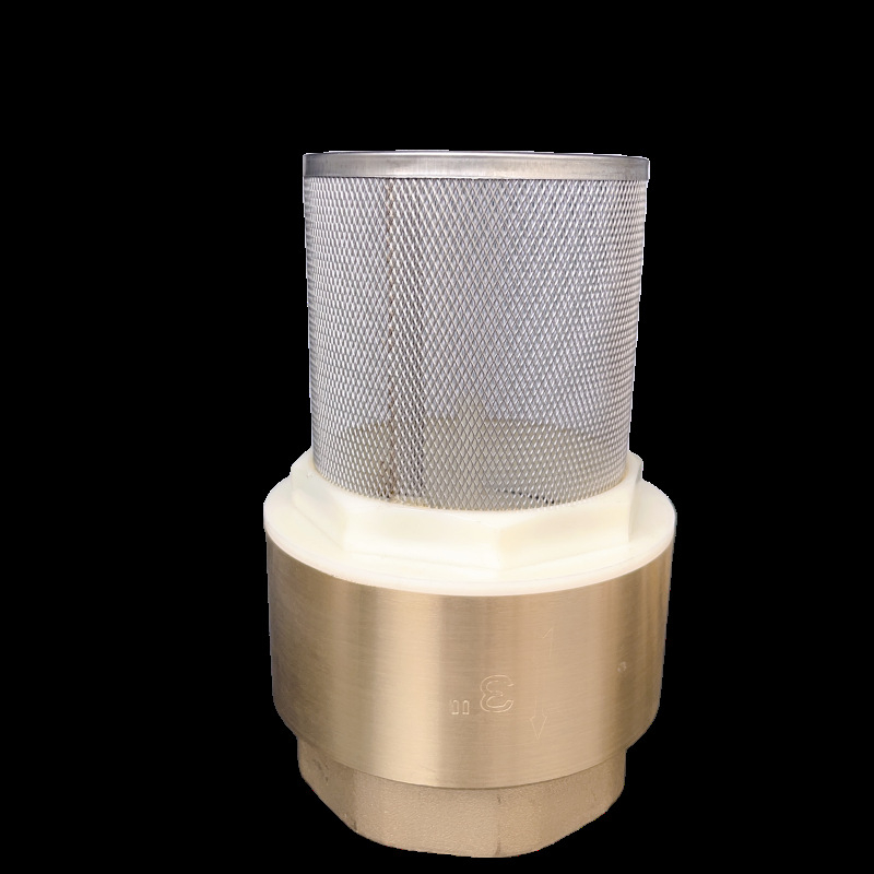 Zvislý zdvíhací spätný ventil s mriežkou z nehrdzavejúcej ocele a meďovým dnom, vhodný pre olej a vodu, hydraulické ovládanie, jednostranný tok