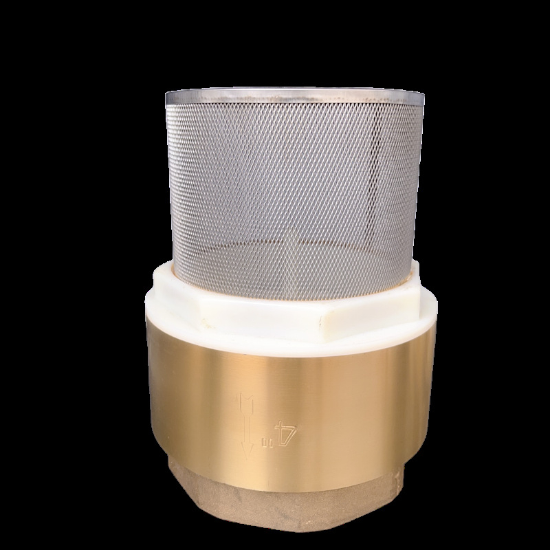 Zvislý zdvíhací spätný ventil s mriežkou z nehrdzavejúcej ocele a meďovým dnom, vhodný pre olej a vodu, hydraulické ovládanie, jednostranný tok