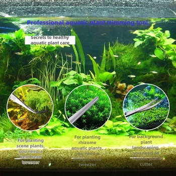 Εργαλεία διακόσμησης ενυδρείου από ανοξείδωτο ατσάλι: τσιμπίδες, επεκτεινόμενος κλιπ ταΐσματος και ψαλίδι για υδρικά φυτά