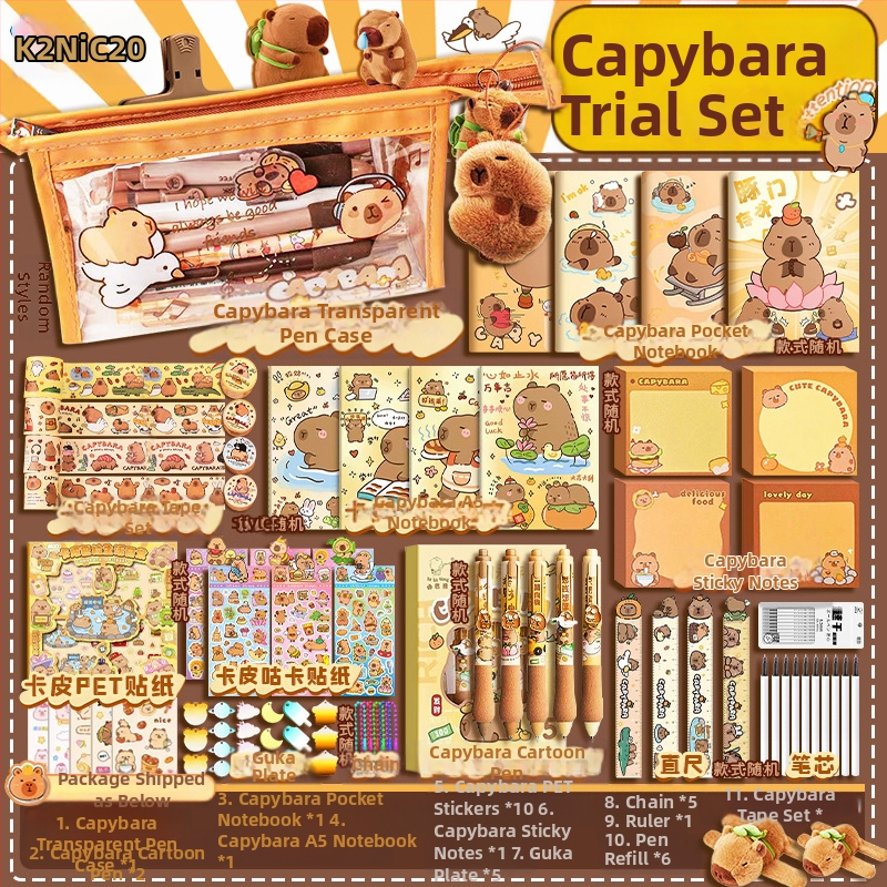 Capybara témájú DIY irodai készlet kézzel készített notesz és teljes matrica készlet