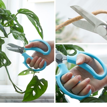 Flowery Edge ψαλίδια για το κλάδεμα λουλουδιών με ευρύ κεφάλι – εργαλείο κήπου για ανθοπωλεία και οικιακή κηπουρική