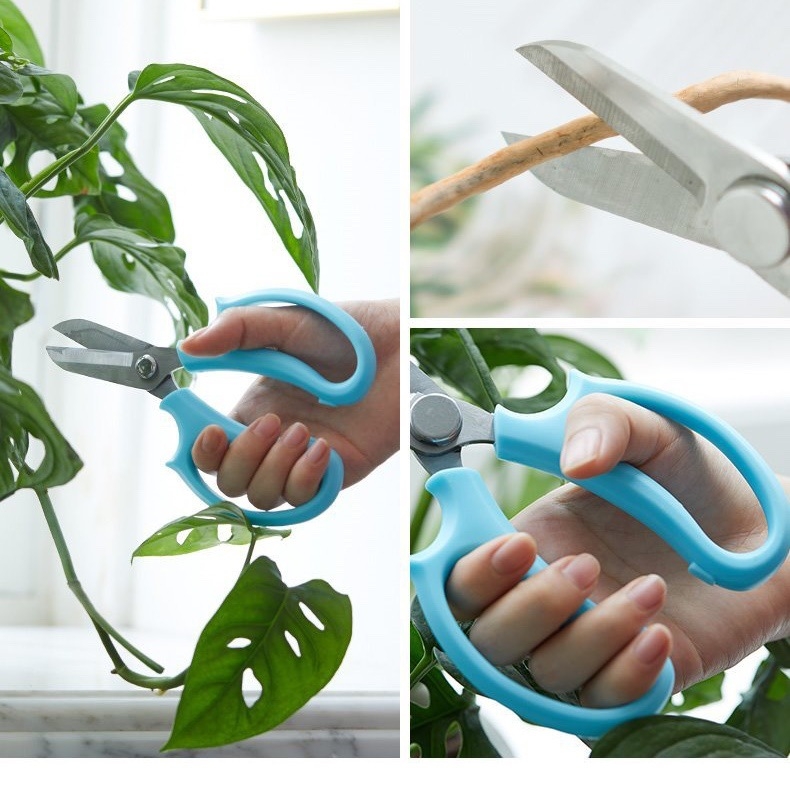 Flowery Edge škare za rezanje cvijeća sa širokom glavom – vrtni alat za cvjećare i kućne vrtare