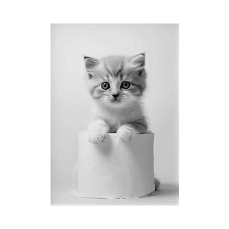 Platno zidna umjetnost s veselim životinjama (sova i pas), bez okvira; otisak na platnu; inkjet tisak; nordijski stil