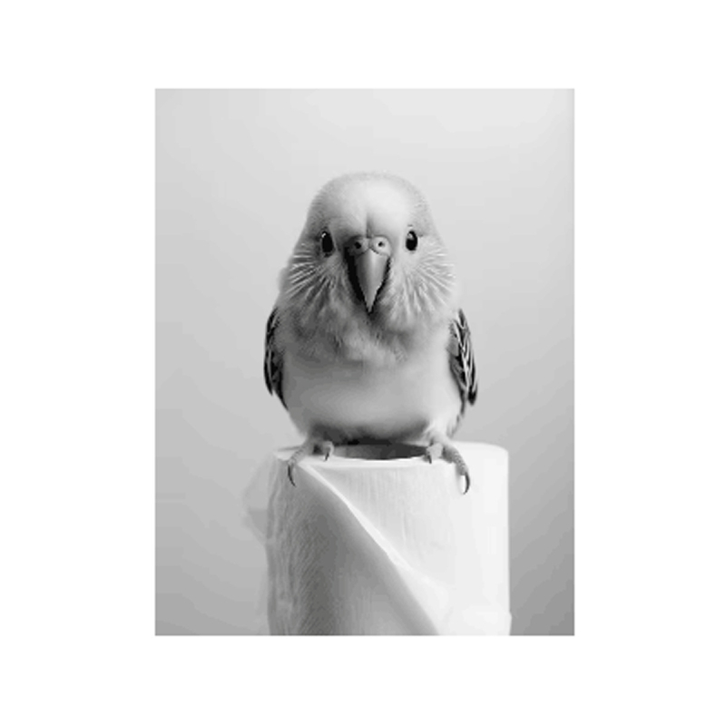 Platno zidna umjetnost s veselim životinjama (sova i pas), bez okvira; otisak na platnu; inkjet tisak; nordijski stil