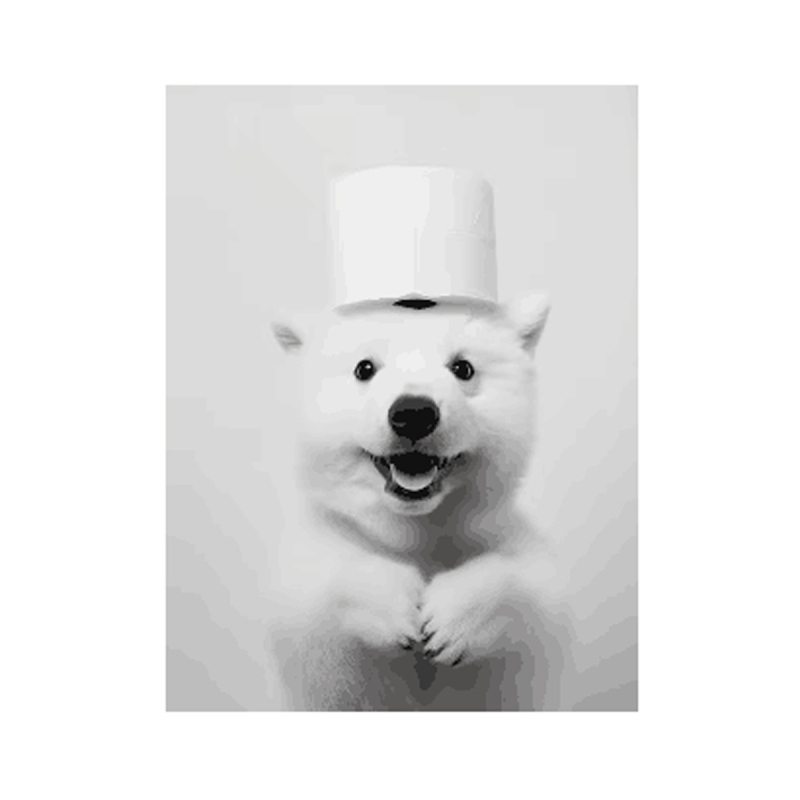 Platno zidna umjetnost s veselim životinjama (sova i pas), bez okvira; otisak na platnu; inkjet tisak; nordijski stil