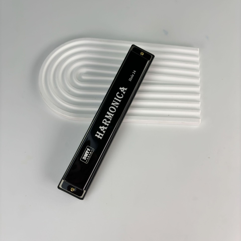 Harmonica metalică cu 24 găuri, dublu rând, tonalitate C, pentru începători.