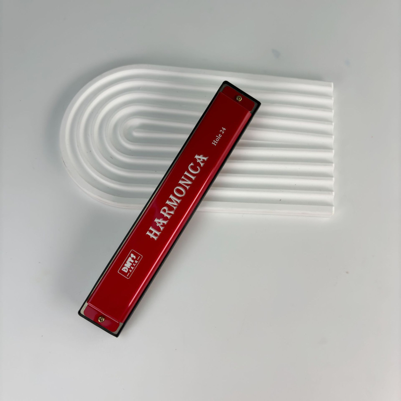 Harmonica metalică cu 24 găuri, dublu rând, tonalitate C, pentru începători.