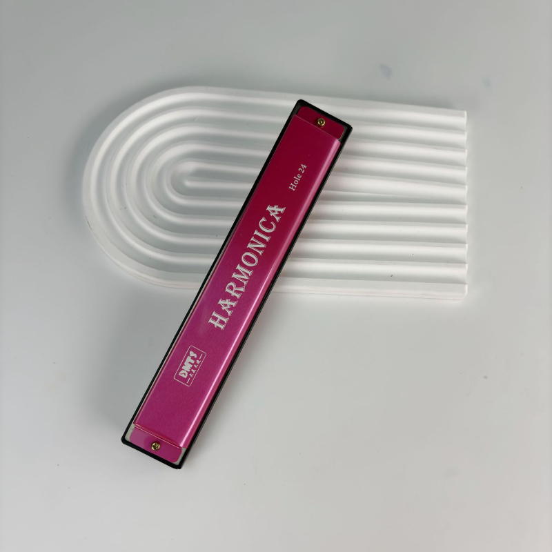 Harmonica metalică cu 24 găuri, dublu rând, tonalitate C, pentru începători.