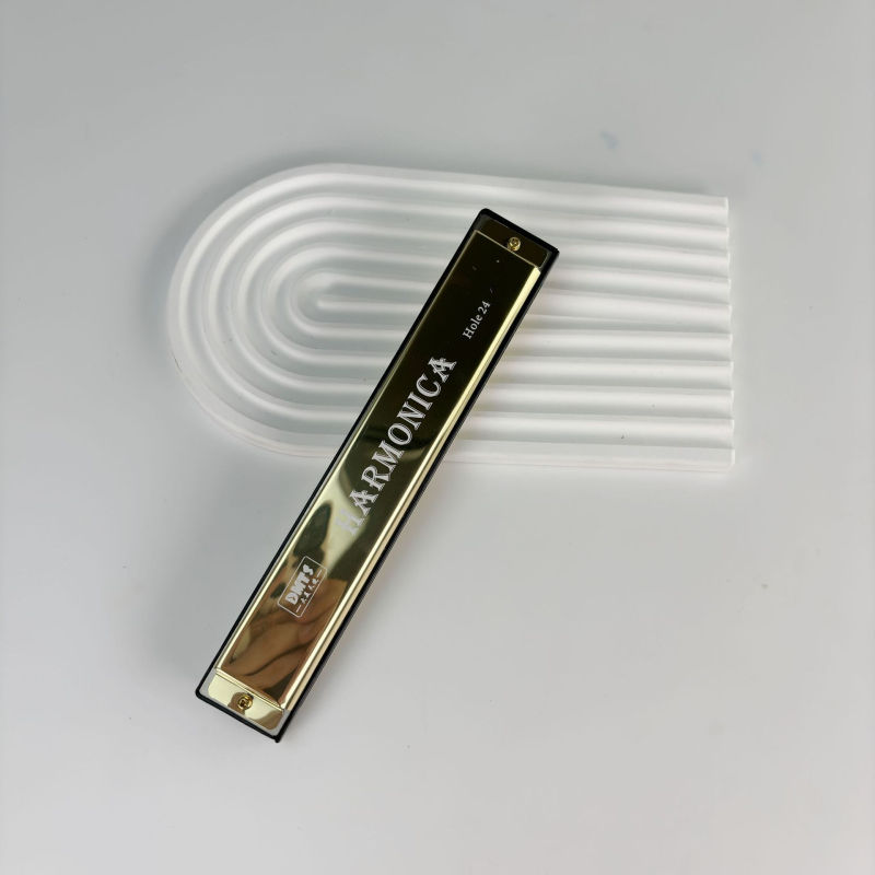 Harmonica metalică cu 24 găuri, dublu rând, tonalitate C, pentru începători.