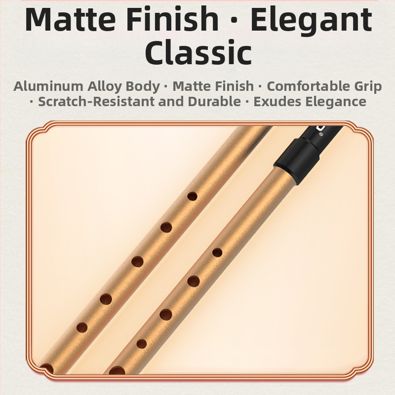 DBAO írsku píšťalu, tón C/D, šest otvorov, pre študentov