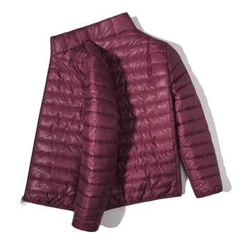 Ανδρικό μπουφάν με παχύ πλήρωμα πολυεστέρα, εξωτερικό ύφασμα πολυεστέρα, σταθερός γιακάς, φερμουάρ, πλαϊνές τσέπες, κορεατικό στυλ