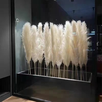 Rėdų džiovintų gėlių puokštė - Madingos tikros gėlės svetainei - Natūralus grindų vidaus dekoras - Medžiaga: Soft PVC; Prekė: Kita; Amatas: Kita; Įvairovė: Kita