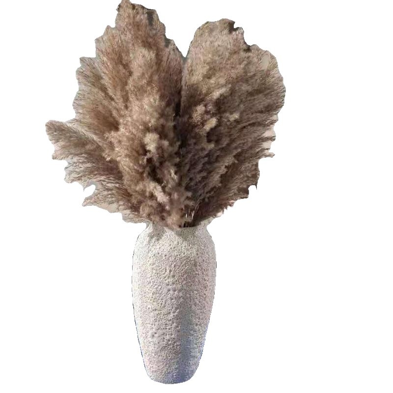 Rėdų džiovintų gėlių puokštė - Madingos tikros gėlės svetainei - Natūralus grindų vidaus dekoras - Medžiaga: Soft PVC; Prekė: Kita; Amatas: Kita; Įvairovė: Kita