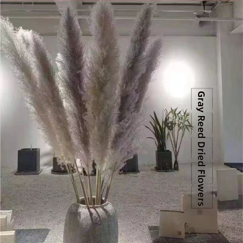 Rėdų džiovintų gėlių puokštė - Madingos tikros gėlės svetainei - Natūralus grindų vidaus dekoras - Medžiaga: Soft PVC; Prekė: Kita; Amatas: Kita; Įvairovė: Kita