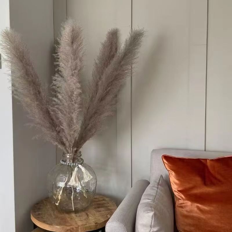 Rėdų džiovintų gėlių puokštė - Madingos tikros gėlės svetainei - Natūralus grindų vidaus dekoras - Medžiaga: Soft PVC; Prekė: Kita; Amatas: Kita; Įvairovė: Kita