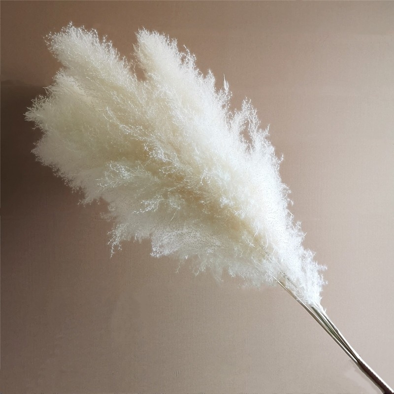 Rėdų džiovintų gėlių puokštė - Madingos tikros gėlės svetainei - Natūralus grindų vidaus dekoras - Medžiaga: Soft PVC; Prekė: Kita; Amatas: Kita; Įvairovė: Kita