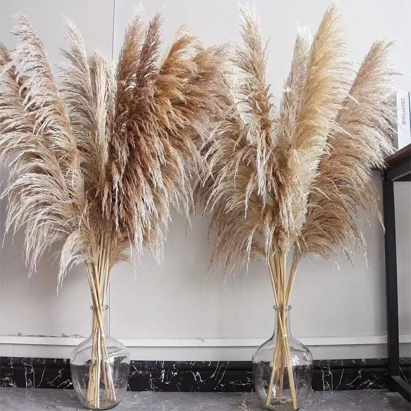 Rėdų džiovintų gėlių puokštė - Madingos tikros gėlės svetainei - Natūralus grindų vidaus dekoras - Medžiaga: Soft PVC; Prekė: Kita; Amatas: Kita; Įvairovė: Kita