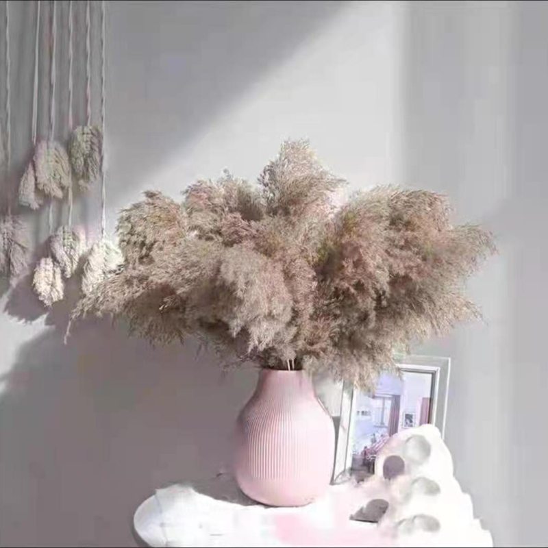 Rėdų džiovintų gėlių puokštė - Madingos tikros gėlės svetainei - Natūralus grindų vidaus dekoras - Medžiaga: Soft PVC; Prekė: Kita; Amatas: Kita; Įvairovė: Kita