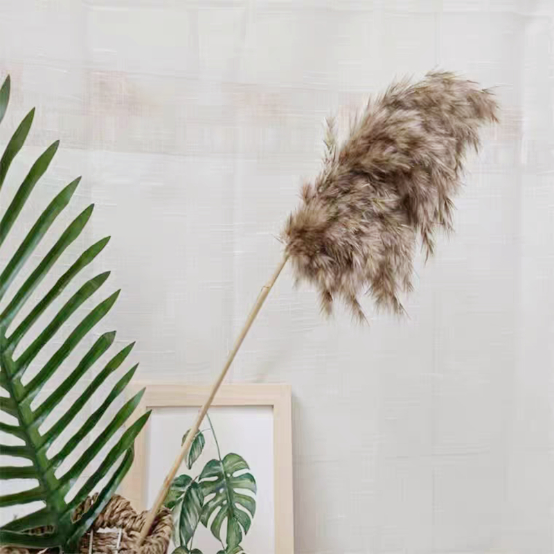 Rėdų džiovintų gėlių puokštė - Madingos tikros gėlės svetainei - Natūralus grindų vidaus dekoras - Medžiaga: Soft PVC; Prekė: Kita; Amatas: Kita; Įvairovė: Kita